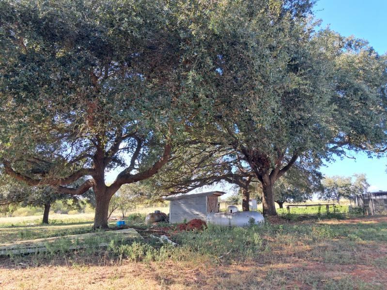 19289 Bosse Road, Washington, Texas image 34