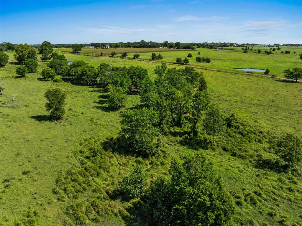 1619 S State Highway 237, Round Top, Texas image 15