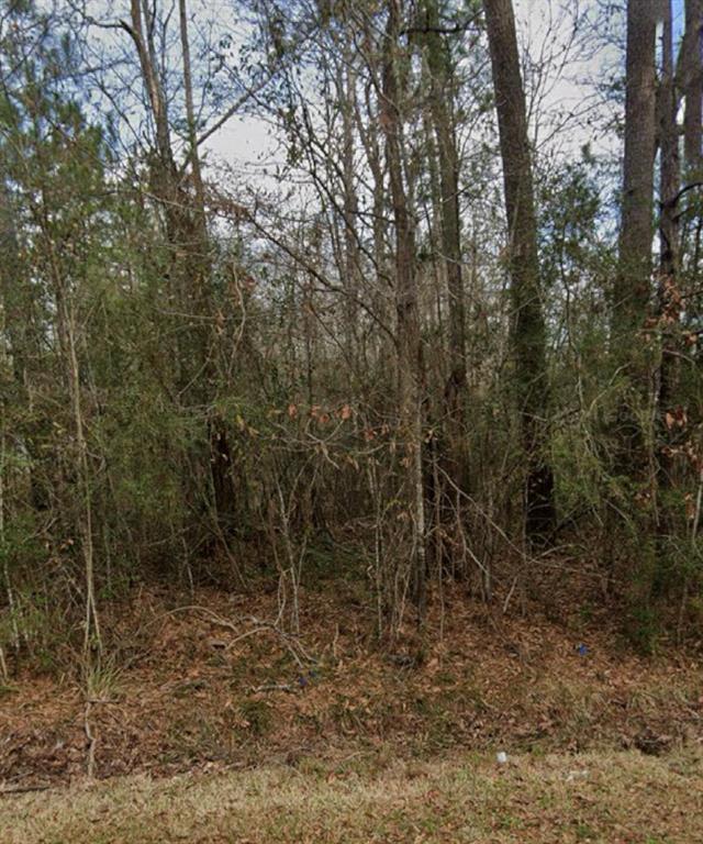 Woodlawn Drive, Sour Lake, Texas image 3