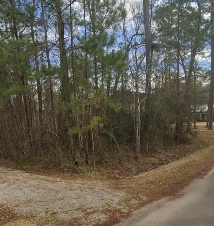 Woodlawn Drive, Sour Lake, Texas image 2