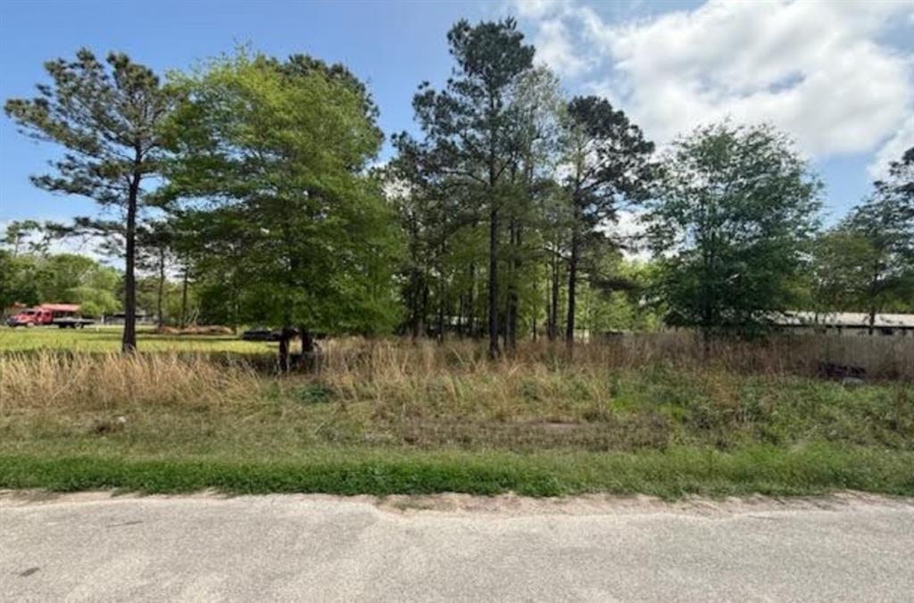 305 County Road 3419, Cleveland, Texas image 6