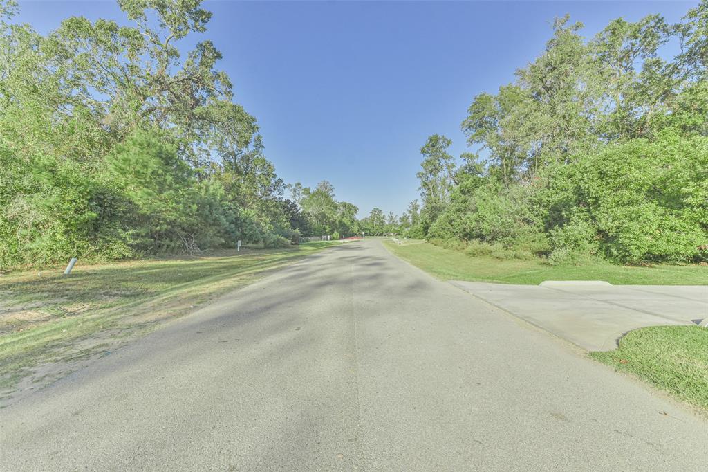 27318 Shady Hills Landing Lane, Spring, Texas image 8