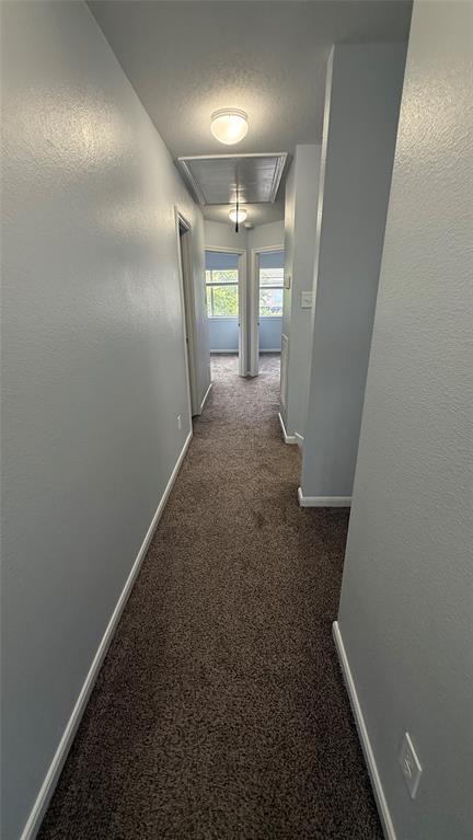 3807 Shire Valley Drive, Missouri City, Texas image 11