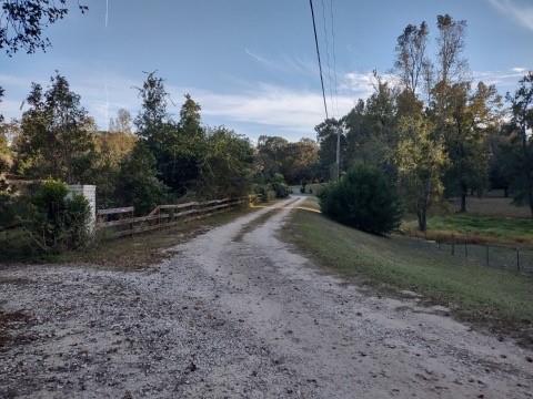 212 Ponderosa Street, Livingston, Texas image 3