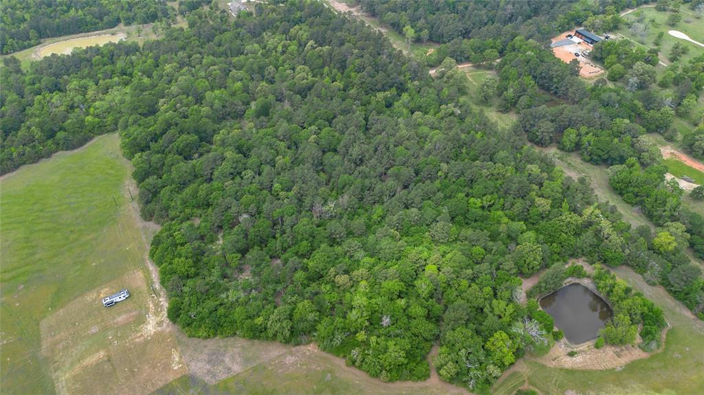 TBD Lot 3 Pool Rd, Richards, Texas image 6