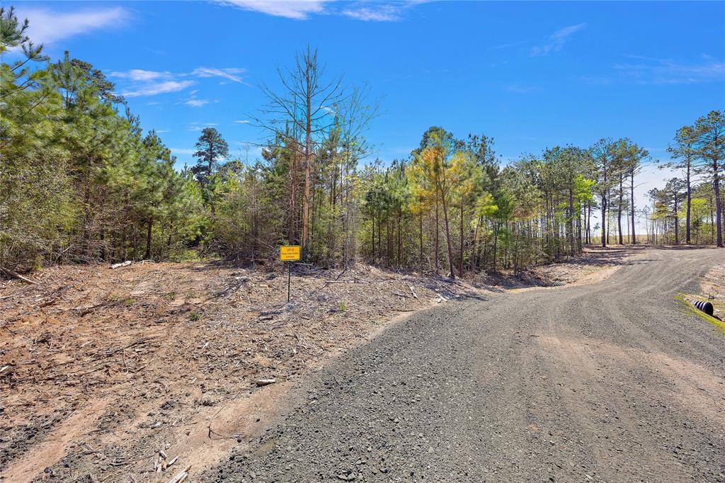 573 Piney Creek Estates Rd, Timpson, Texas image 2