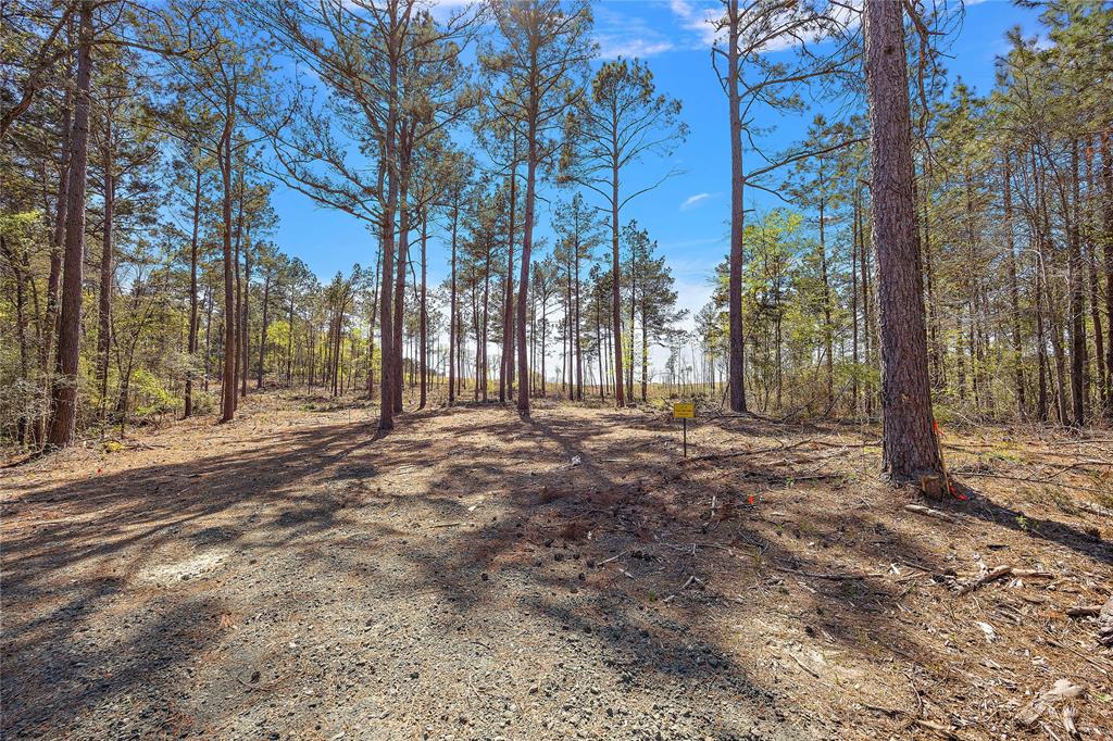 573 Piney Creek Estates Rd, Timpson, Texas image 3
