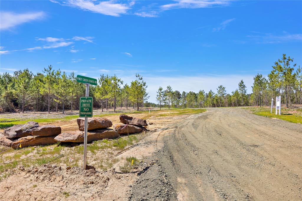573 Piney Creek Estates Rd, Timpson, Texas image 1