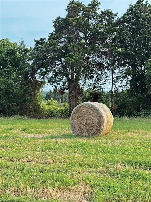 Lot 2A Vineyard View Trail, Carmine, Texas image 3