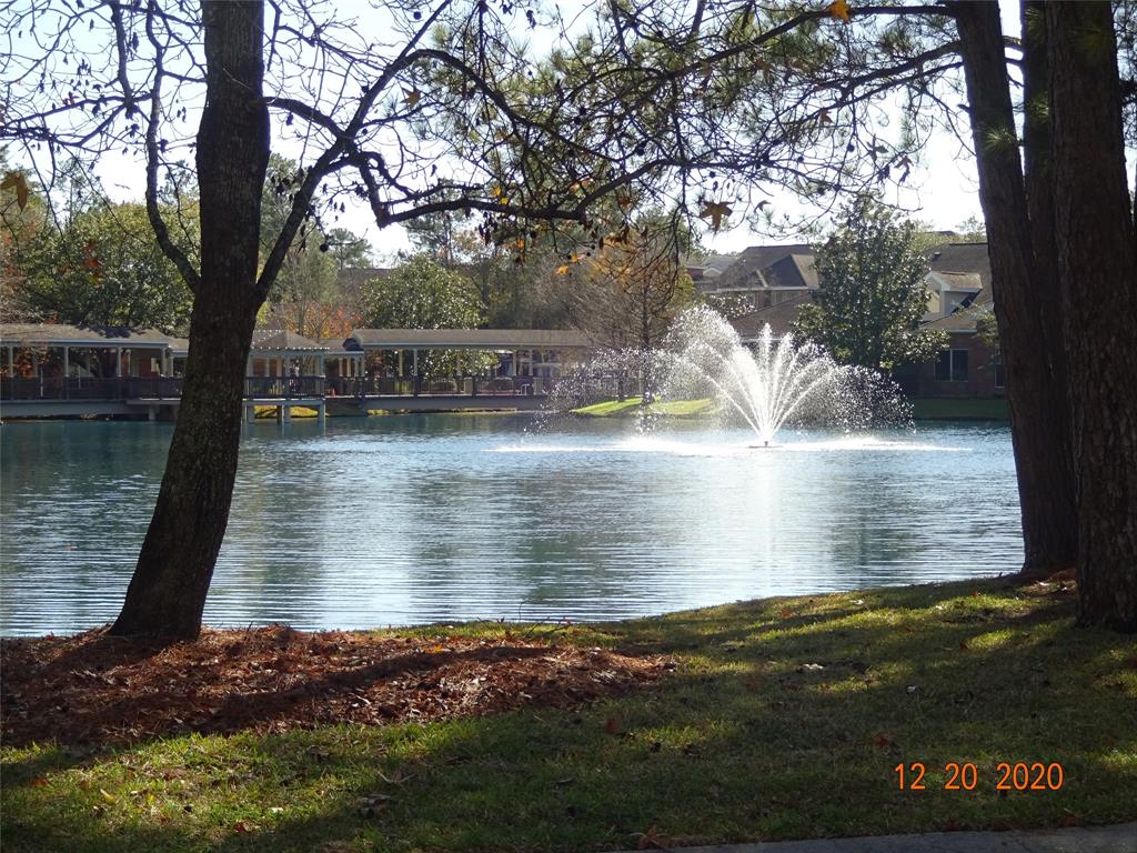 150 N Magnolia Pond Place, The Woodlands, Texas image 12