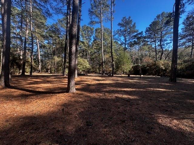TBD Lot 40 Cherokee Ln, Waller, Texas image 2