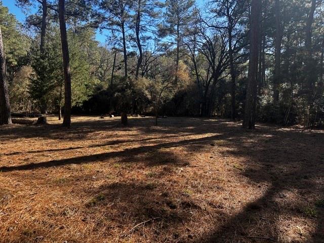 TBD Lot 40 Cherokee Ln, Waller, Texas image 3