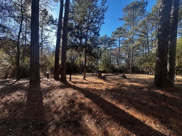 TBD Lot 40 Cherokee Ln, Waller, Texas image 1