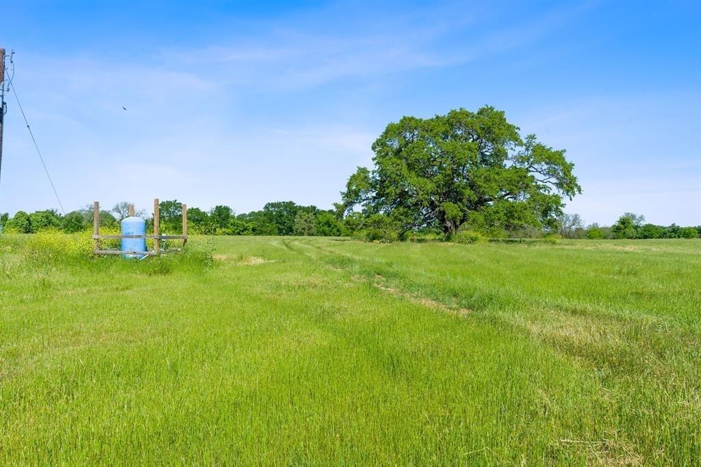 663 Loop 230, Smithville, Texas image 8