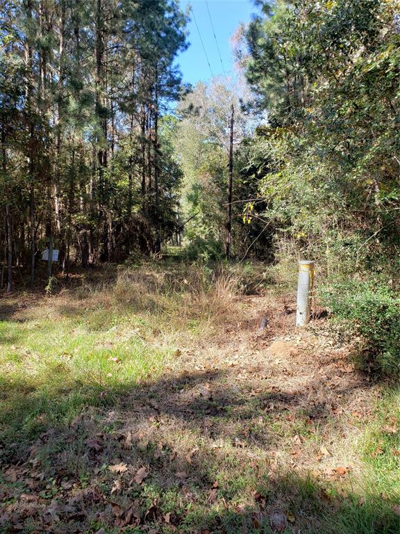 00000 County Road 2097, Liberty, Texas image 1