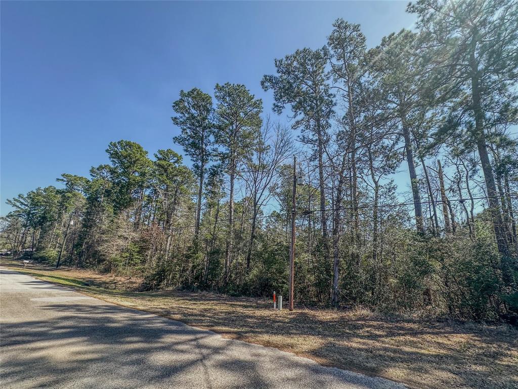 TBD N Canyon Drive, Onalaska, Texas image 1