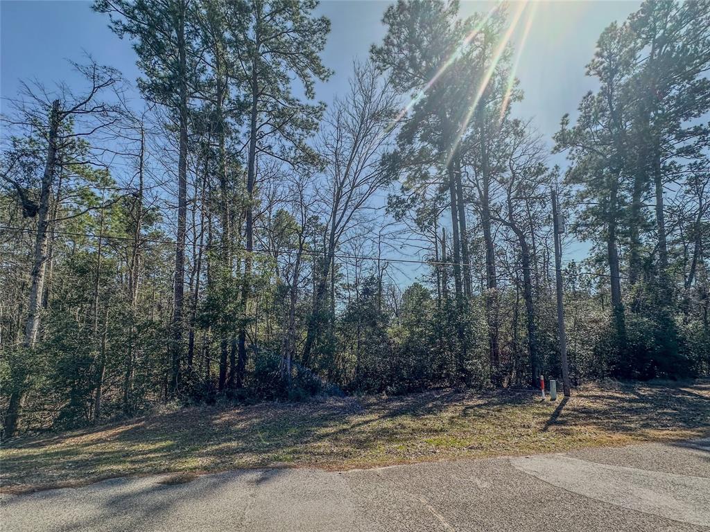 TBD N Canyon Drive, Onalaska, Texas image 6