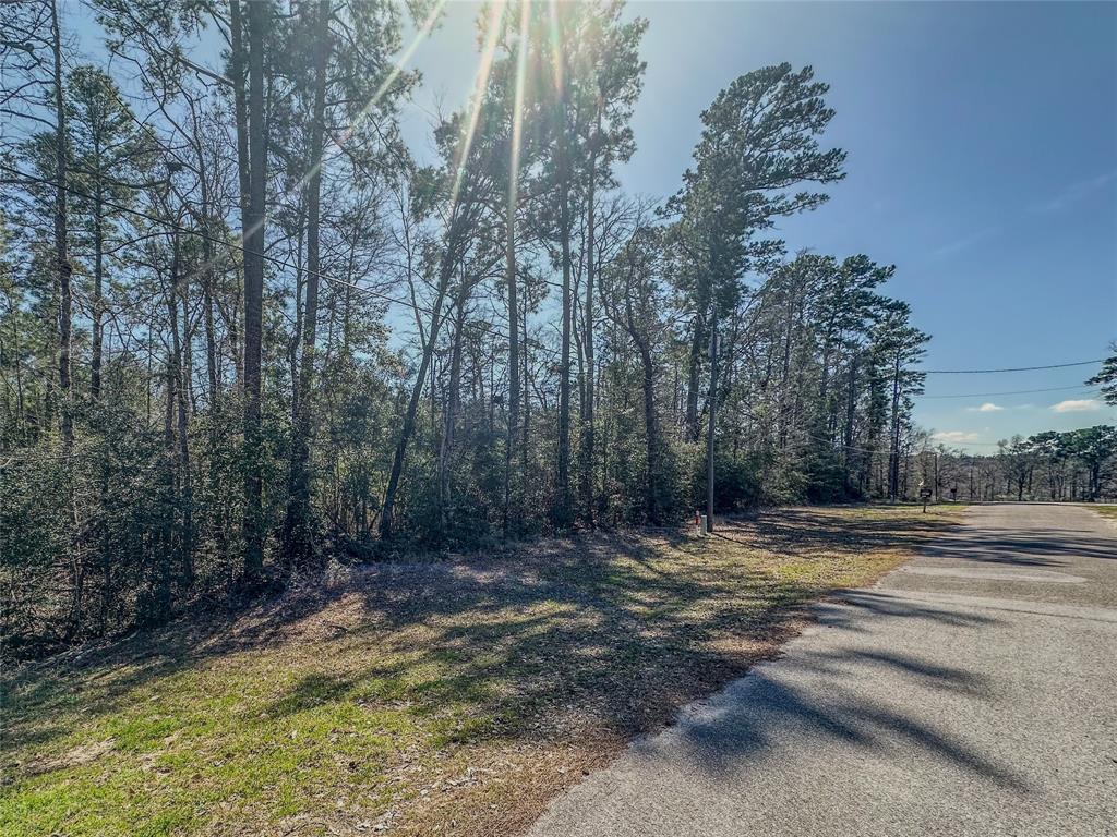 TBD N Canyon Drive, Onalaska, Texas image 5