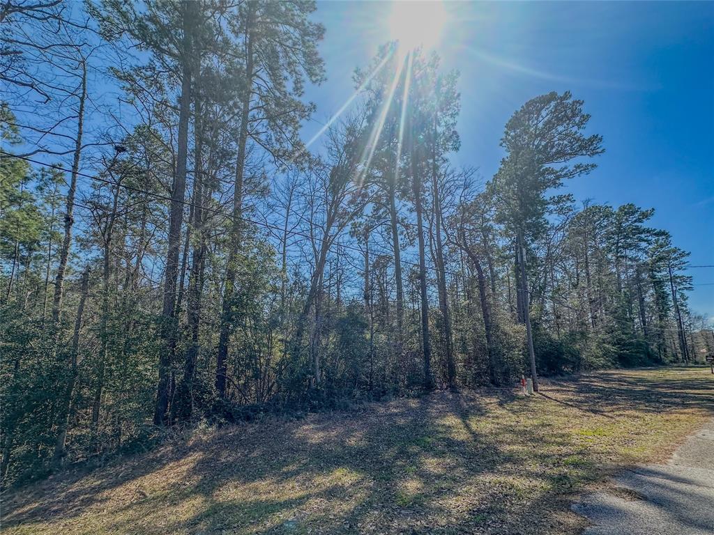 TBD N Canyon Drive, Onalaska, Texas image 4