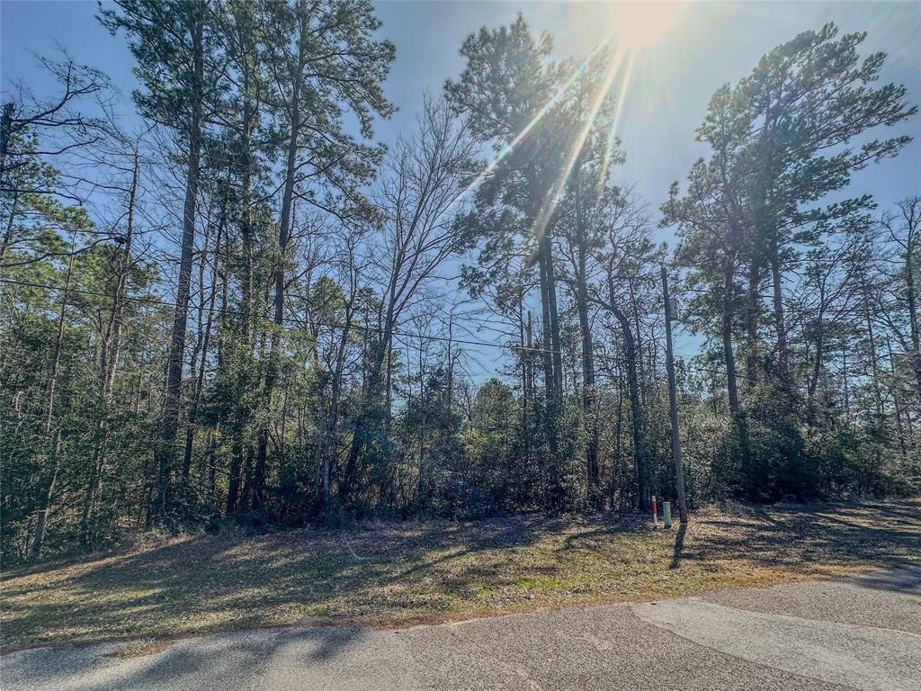 TBD N Canyon Drive, Onalaska, Texas image 2
