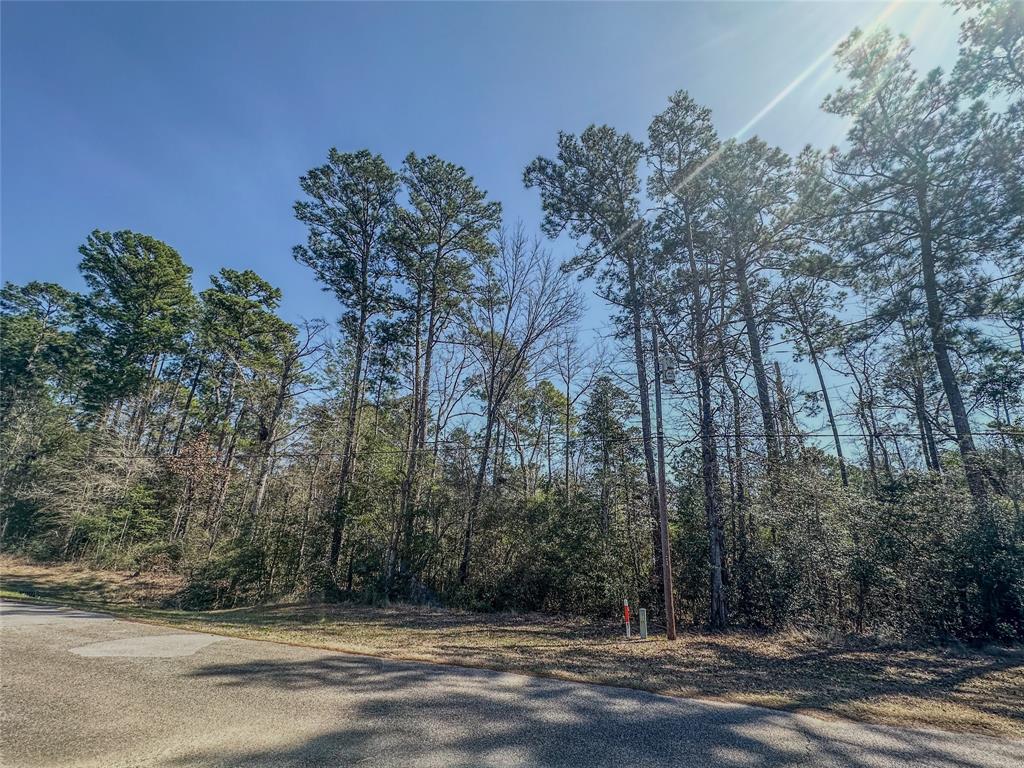 TBD N Canyon Drive, Onalaska, Texas image 3
