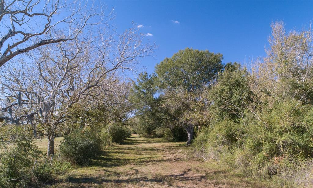 7462 County Road 284, Edna, Texas image 6