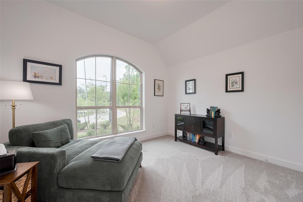 141 Pineview Cove Court, Montgomery, Texas image 19