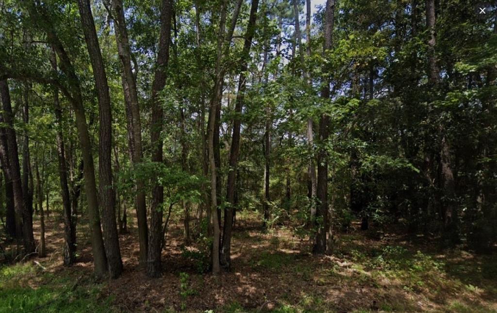 20119 Belleau Wood Drive, Houston, Texas image 3
