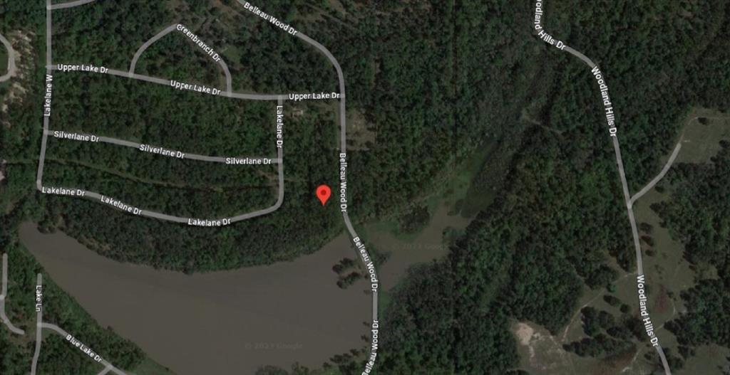 20119 Belleau Wood Drive, Houston, Texas image 1