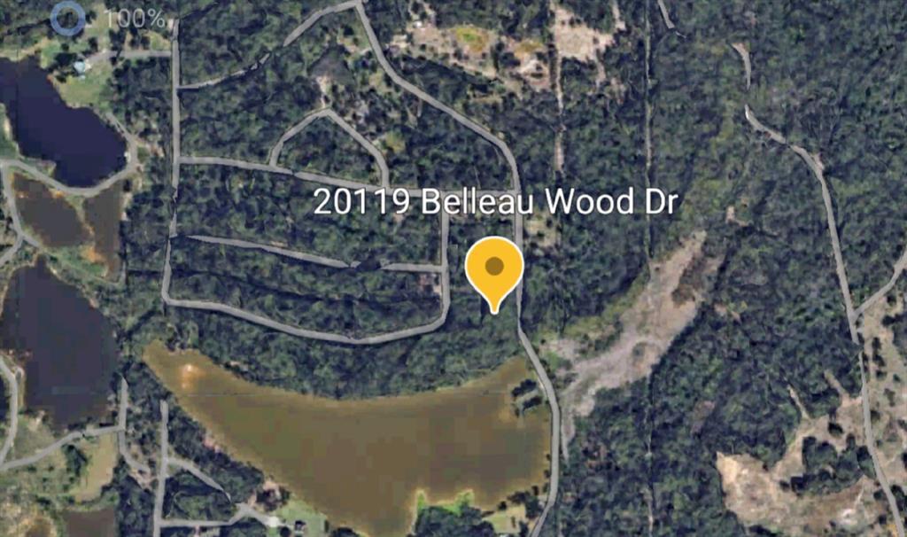 20119 Belleau Wood Drive, Houston, Texas image 2