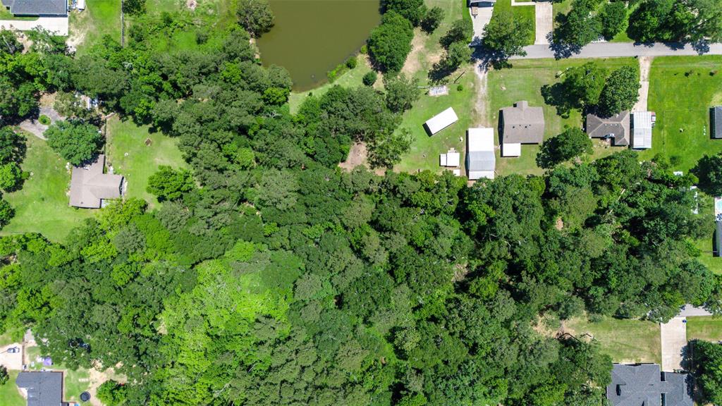 TBD County Road 3669, Splendora, Texas image 5