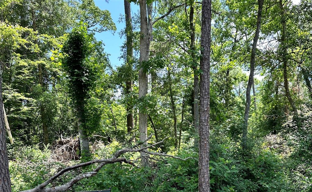 TBD County Road 3669, Splendora, Texas image 1