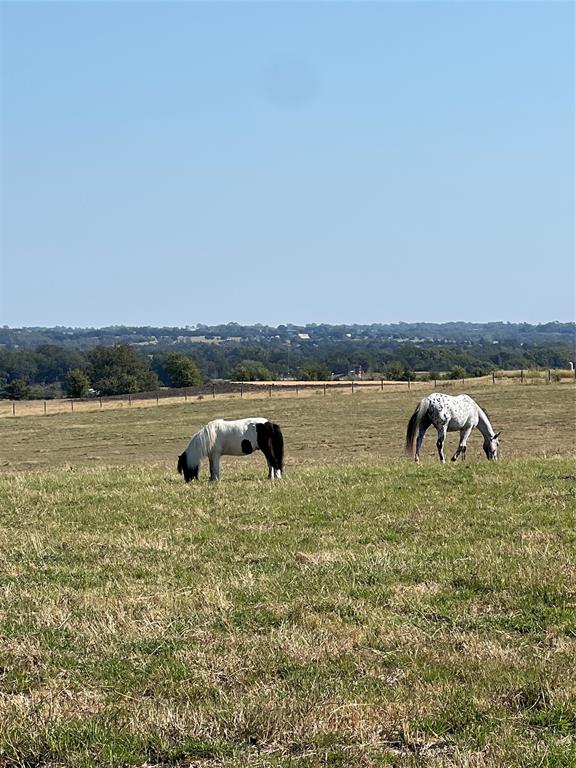 Krueger, Bleiblerville, Texas image 5