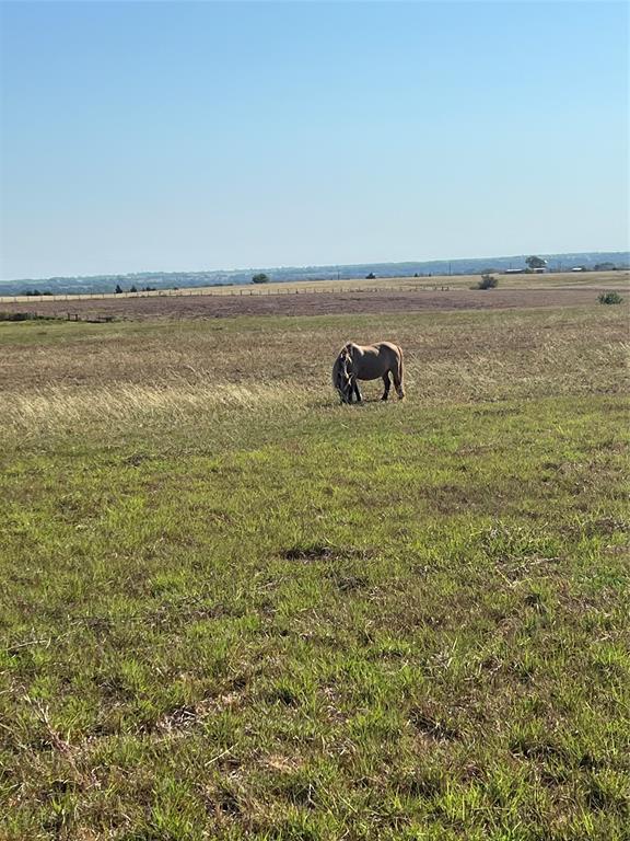 Krueger, Bleiblerville, Texas image 6