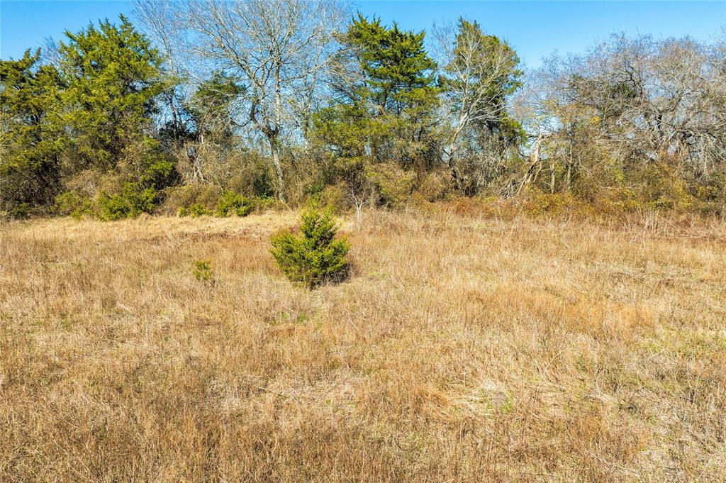 TBD Highway 90, Schulenburg, Texas image 9