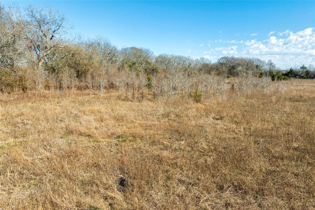 TBD Highway 90, Schulenburg, Texas image 7