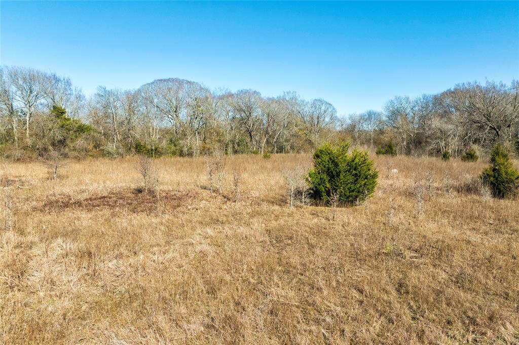 TBD Highway 90, Schulenburg, Texas image 8