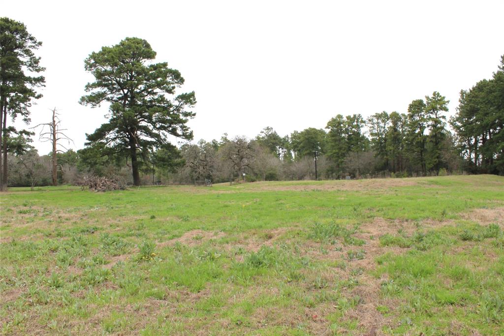 16561 Fm 2620, Bedias, Texas image 9