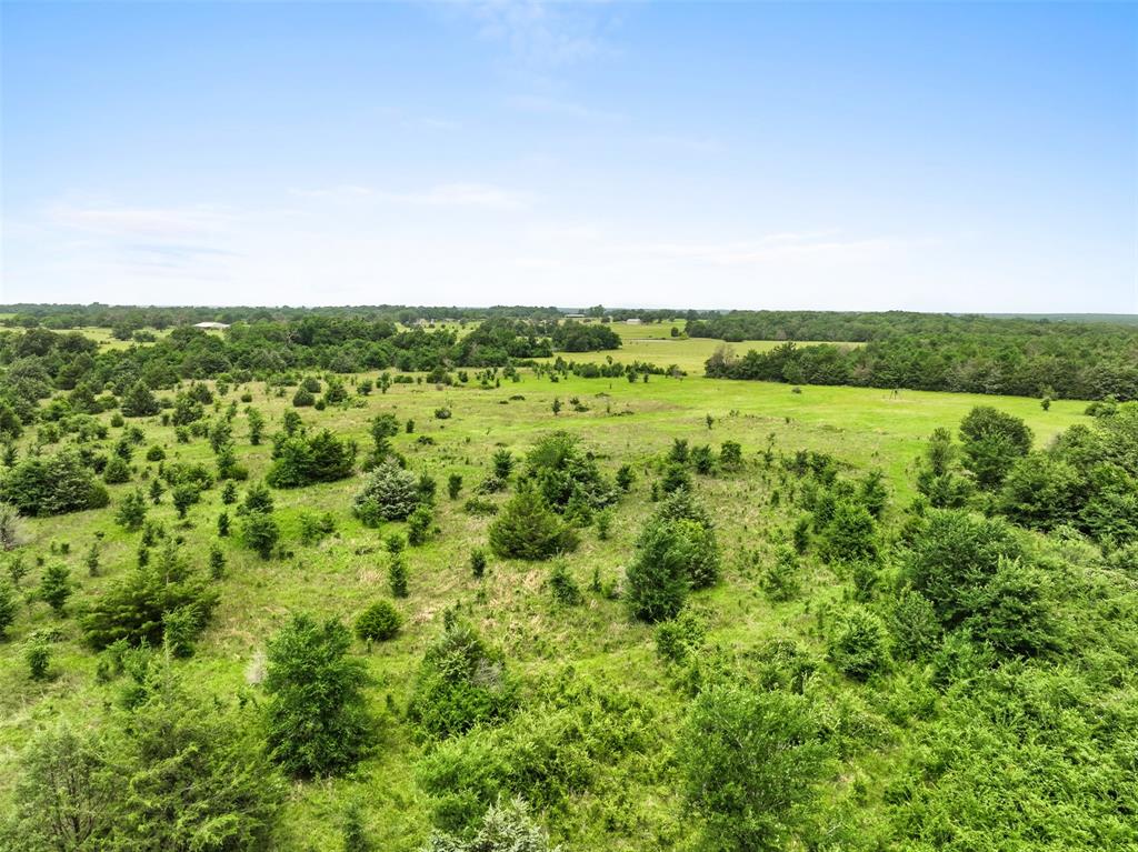 +/- 35 AC Batson Road, Normangee, Texas image 17