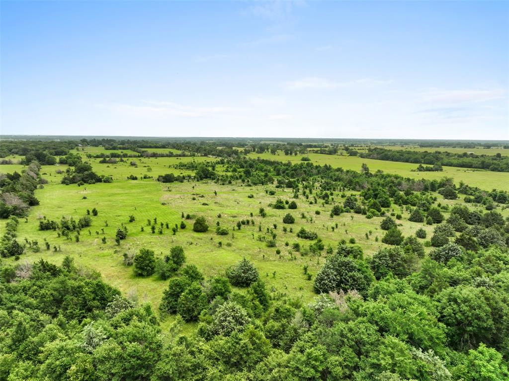 +/- 35 AC Batson Road, Normangee, Texas image 14