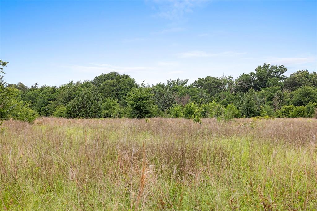 +/- 35 AC Batson Road, Normangee, Texas image 11