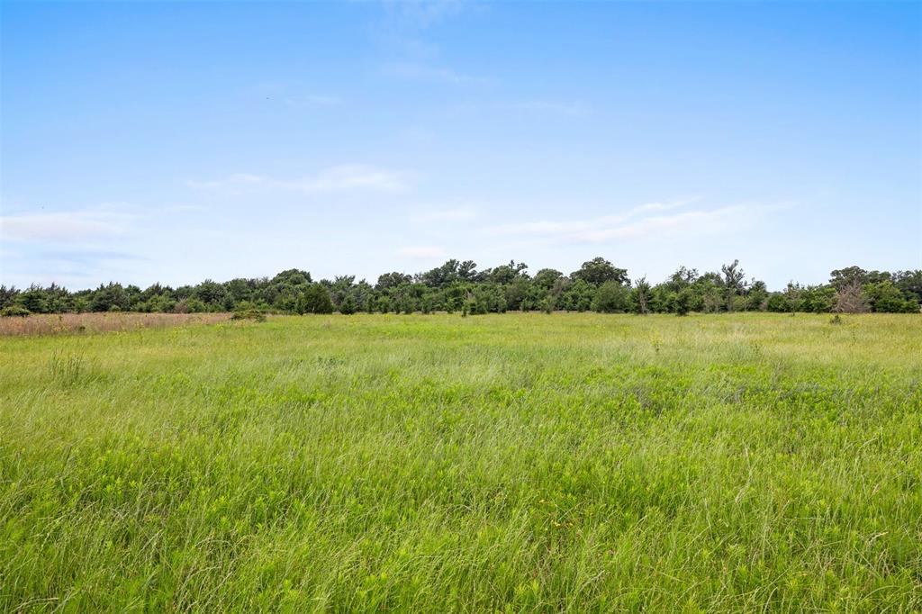 +/- 35 AC Batson Road, Normangee, Texas image 10