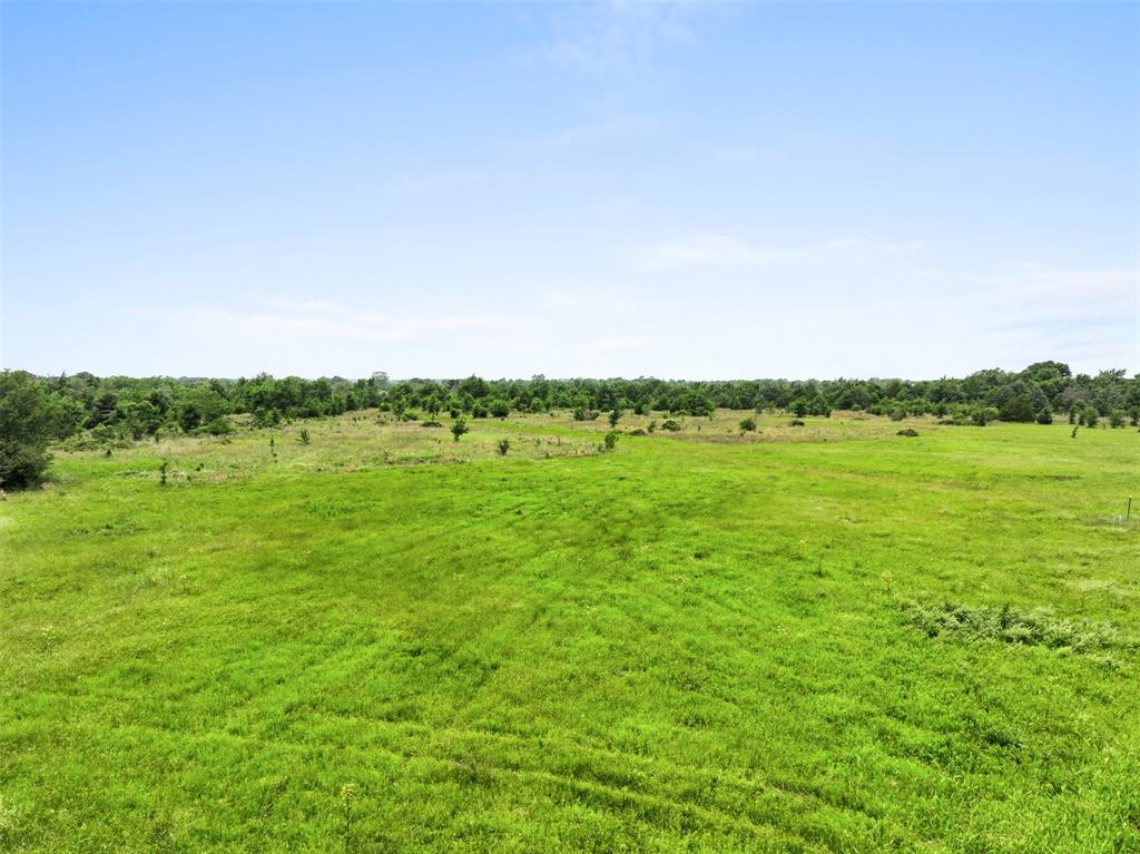 +/- 35 AC Batson Road, Normangee, Texas image 19