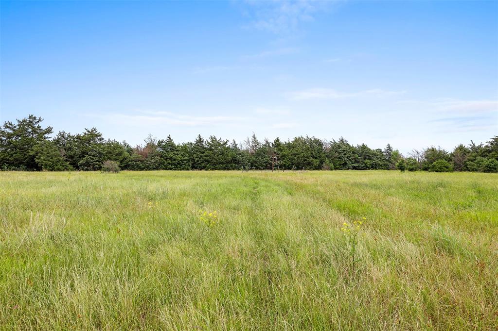+/- 35 AC Batson Road, Normangee, Texas image 9