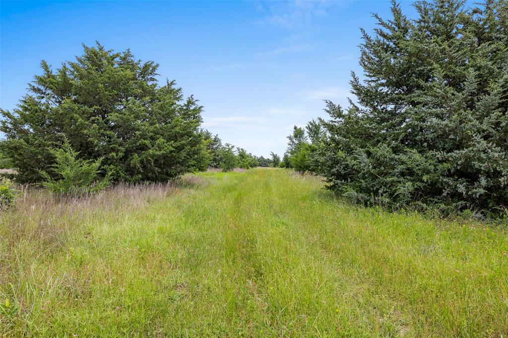 +/- 35 AC Batson Road, Normangee, Texas image 7