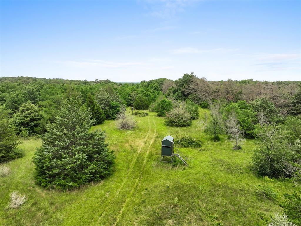 +/- 35 AC Batson Road, Normangee, Texas image 6