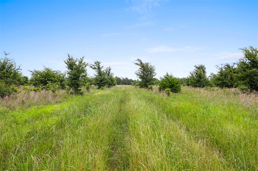+/- 35 AC Batson Road, Normangee, Texas image 5