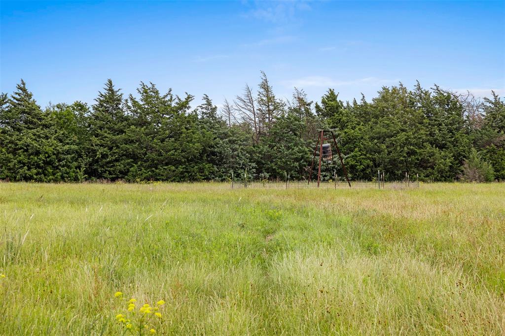 +/- 35 AC Batson Road, Normangee, Texas image 8