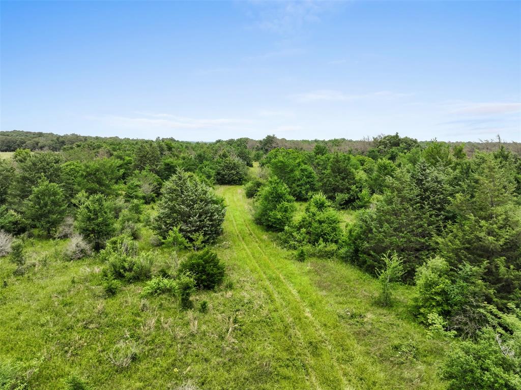 +/- 35 AC Batson Road, Normangee, Texas image 1