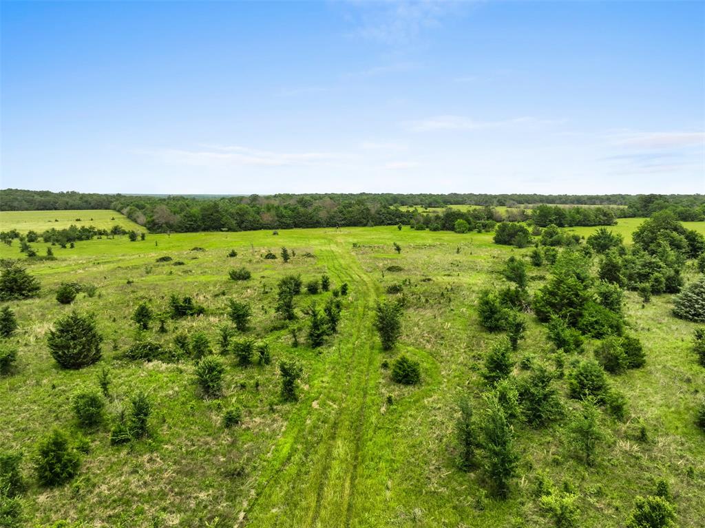 +/- 35 AC Batson Road, Normangee, Texas image 16